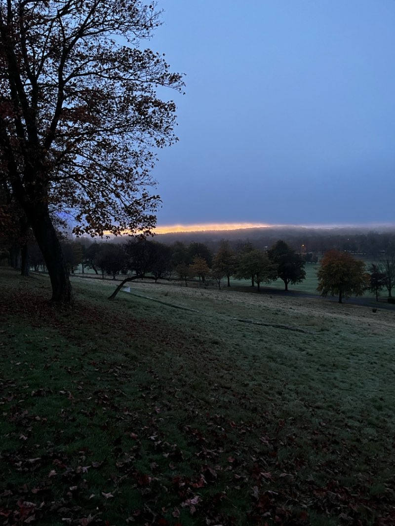 walking near me in Bellahouston Park in autumn