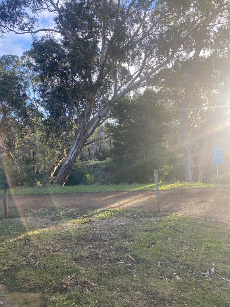 walking near me in Rupert Vance Moon V.C. Reserve in winter