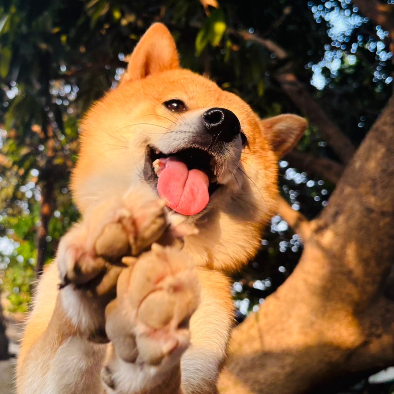 Jayson Lagman-5106751-PH-ATFC