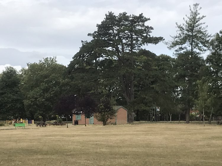 walking near me in Boston Road Recreation Ground in summer