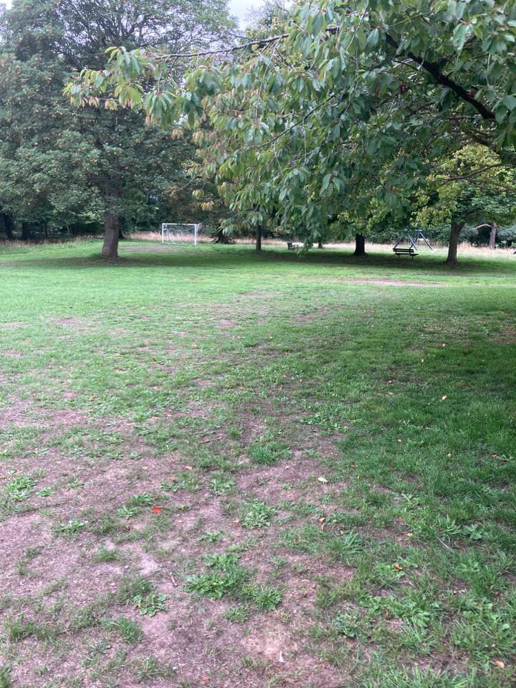 walking near me in Lea Park in autumn