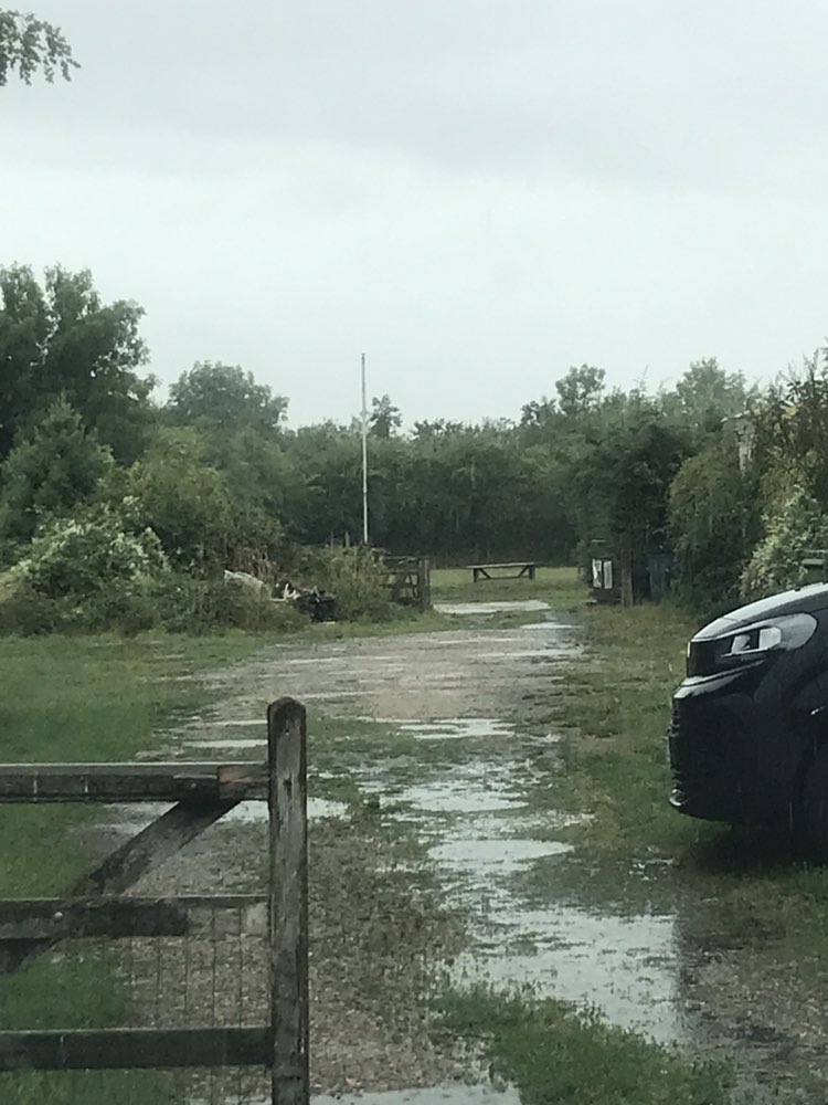 walking near me in Sutterton Dog Park in autumn