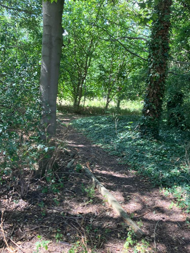 walking near me in Wellingore Windmill Field in autumn