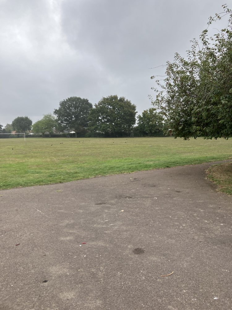 walking near me in Saint Aiden's Park in autumn