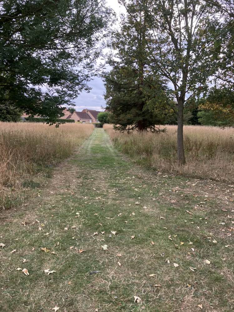 walking near me in Grange Park in autumn