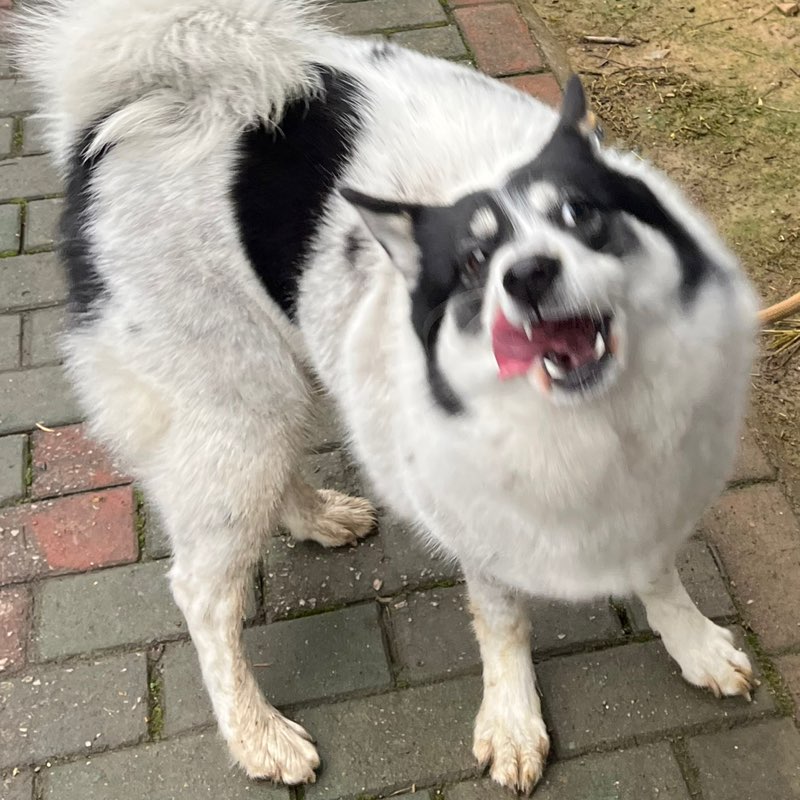 Zoe Li - 4384460 - CHN - HR