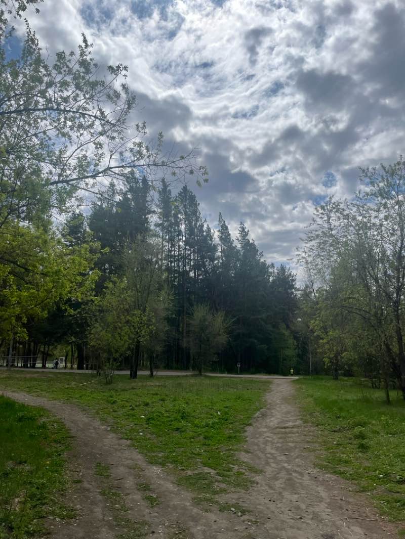 walking near me in Парк Строителей in spring