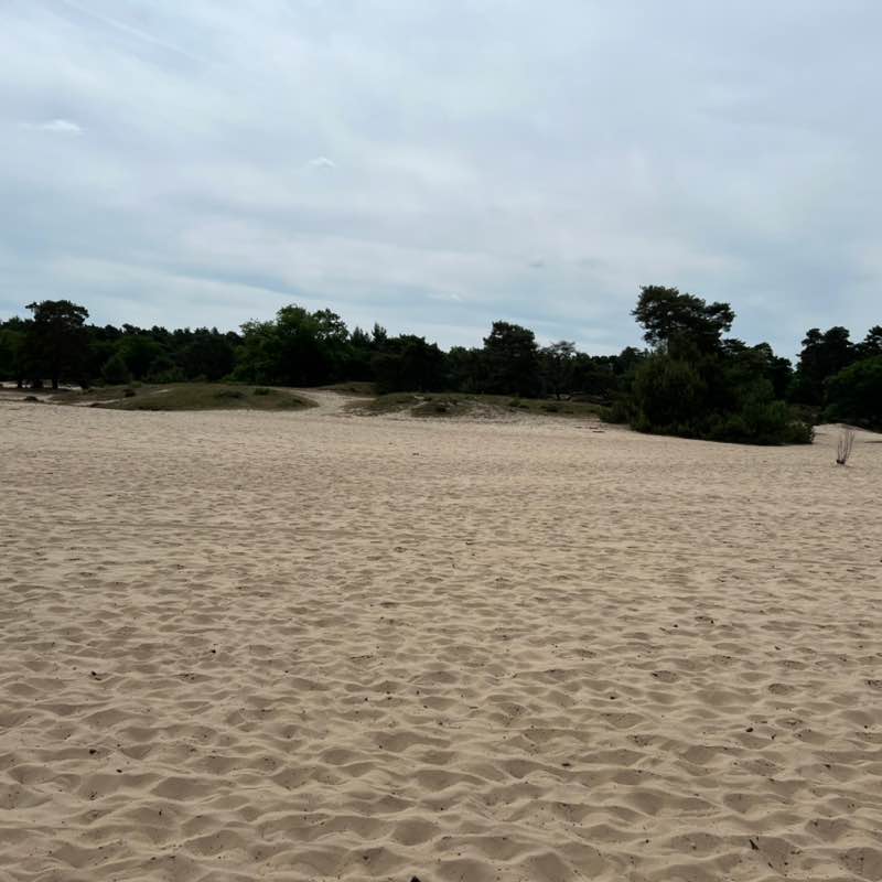 Amsterdam walking & running club Jen post image