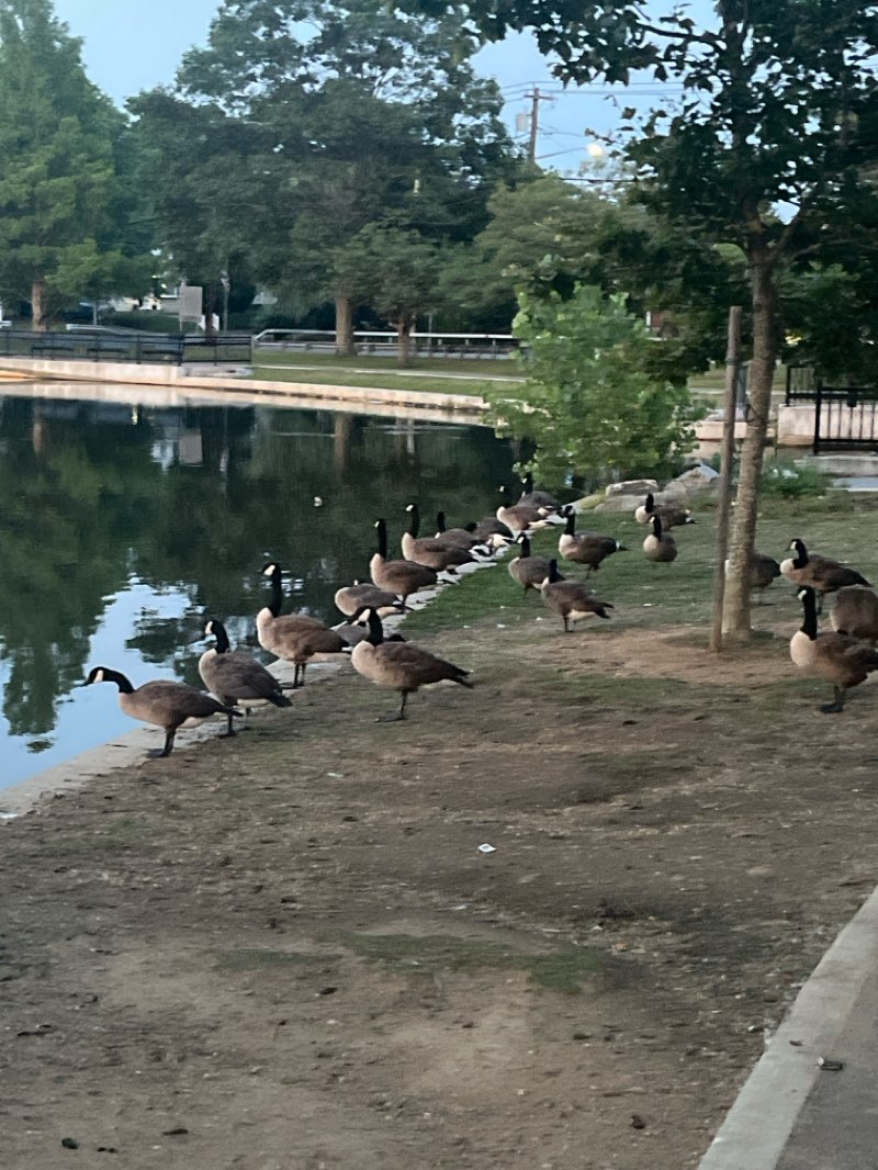walking near me in Silver Lake Park in summer
