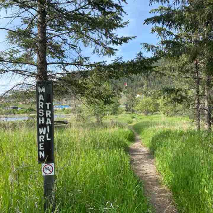 dawn.hutchinson post 1