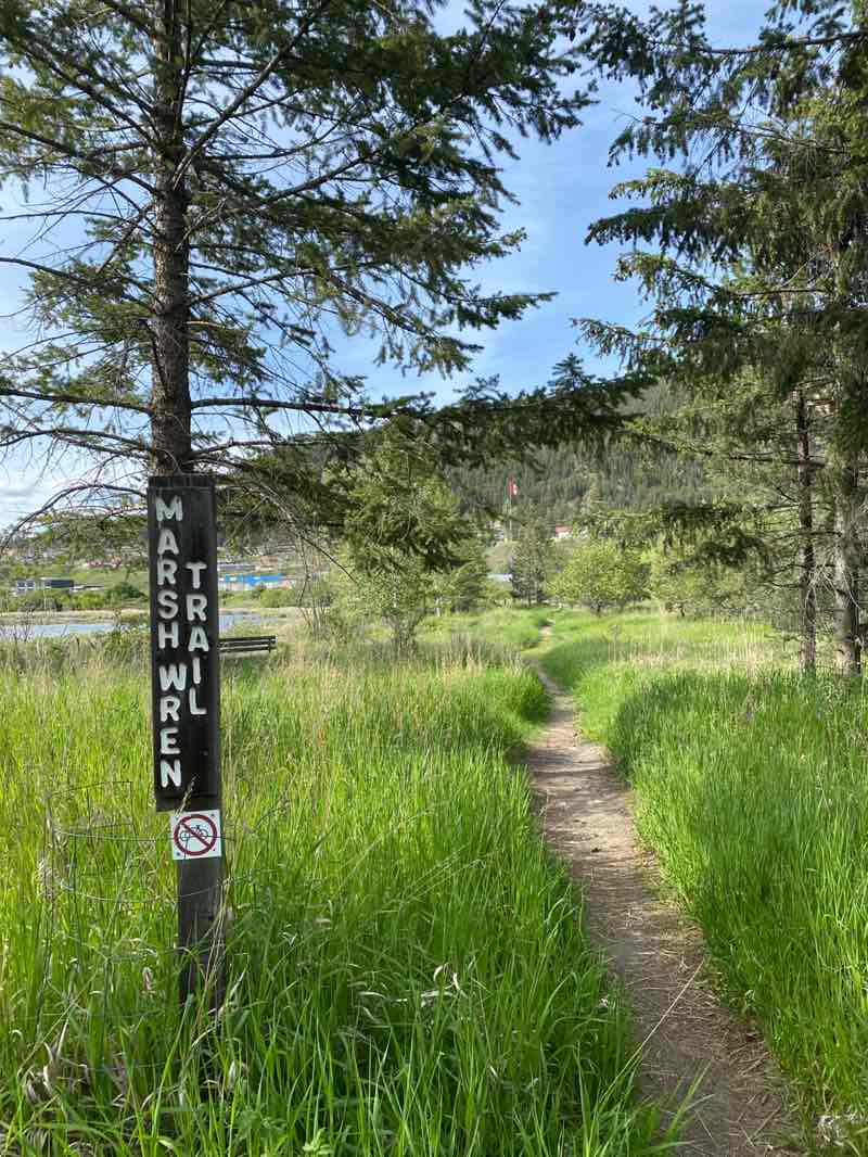 walking near me in Scout Island Nature Centre in spring