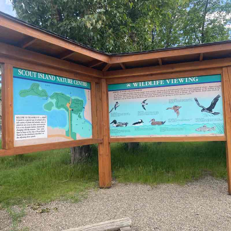 dawn.hutchinson post 2