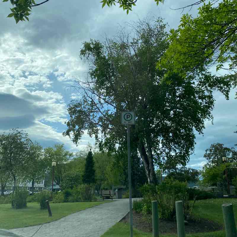 dawn.hutchinson post 1