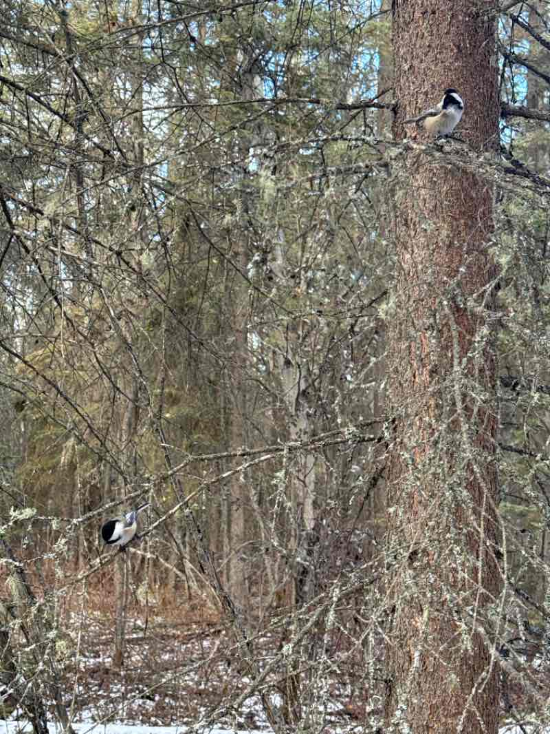 walking near me in Picnic area in autumn