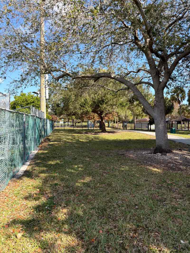 walking near me in Mischcon Park in winter