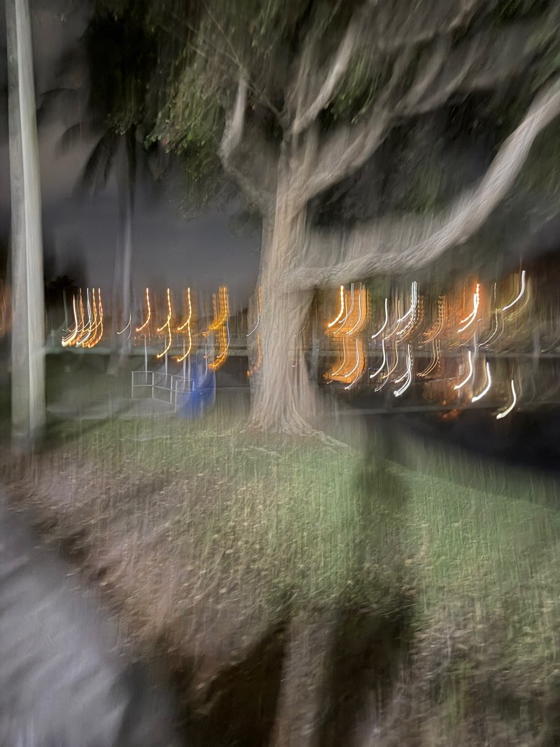 walking near me in Snake Creek Park in winter