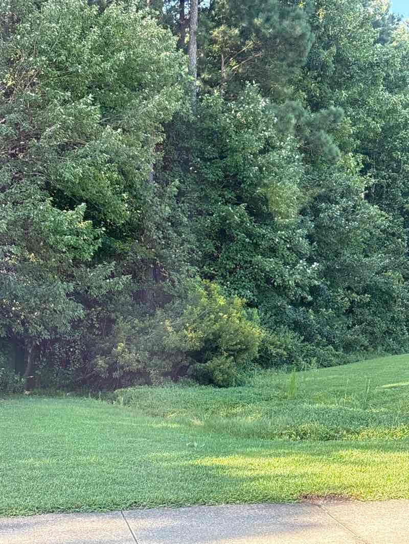 walking near me in Honeycutt Road Park in autumn