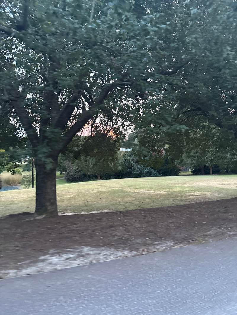 walking near me in Falcon Park in autumn