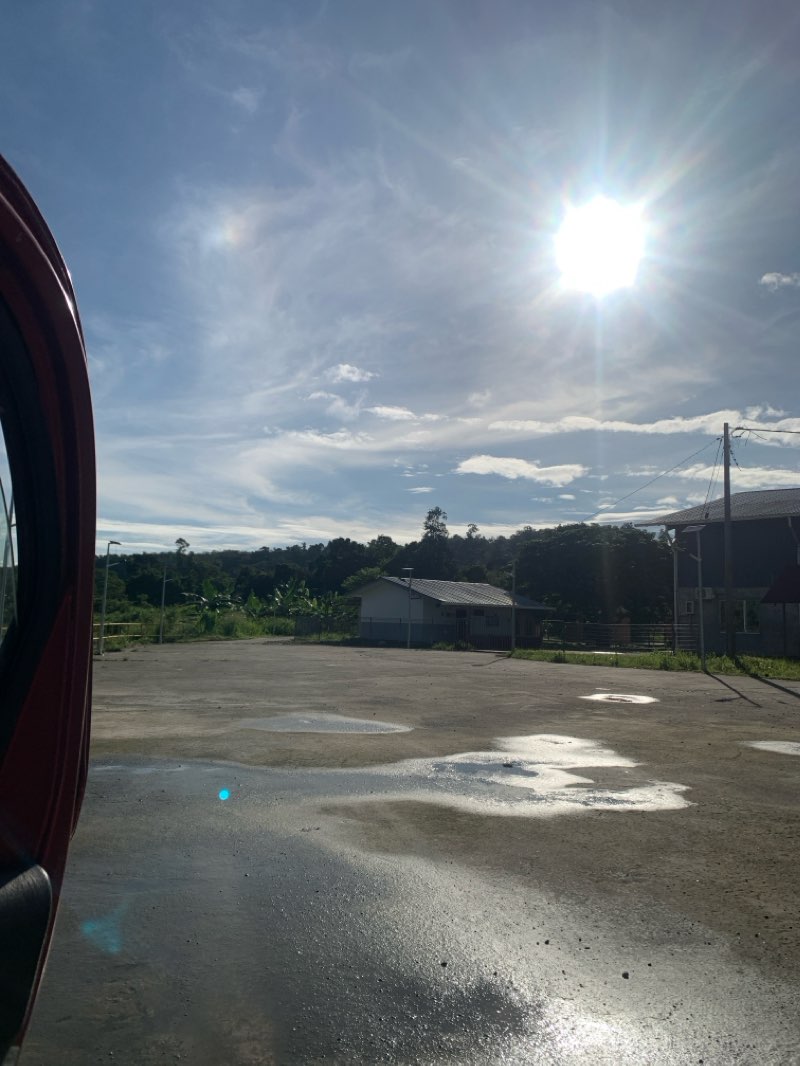 walking near me in Taginambur River Park in spring