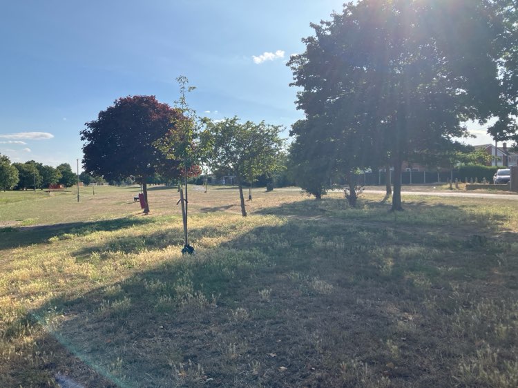 walking near me in Canvey Dyke in summer