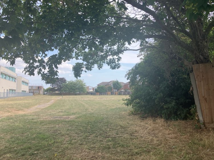 walking near me in Paddocks in summer