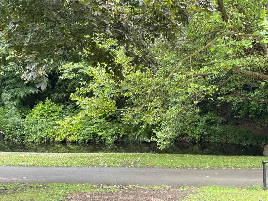 walking near me in Phoenix Park in summer