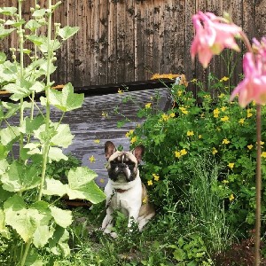 Антонина Шейкина icon