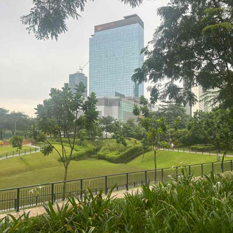 AIP Team Rachelle post image