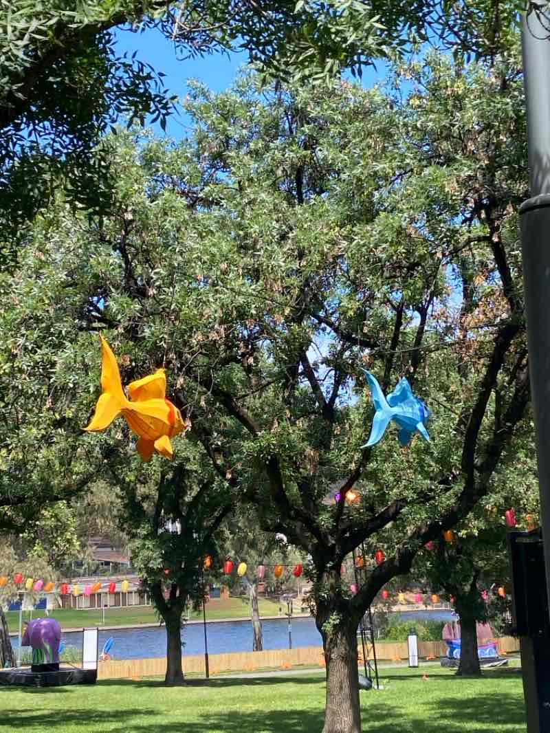 walking near me in Elder Park in spring