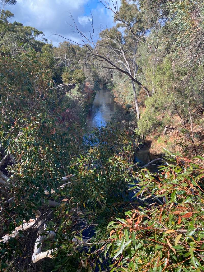 walking near me in Park 10 in autumn