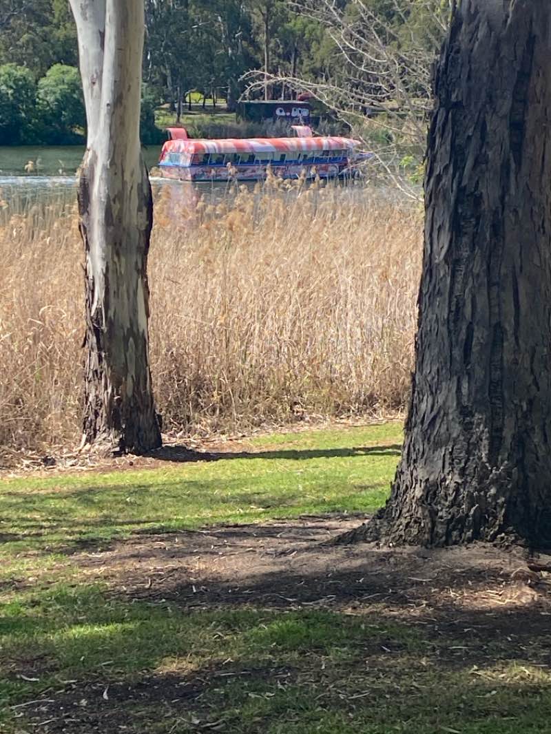 walking near me in Park 12 in spring