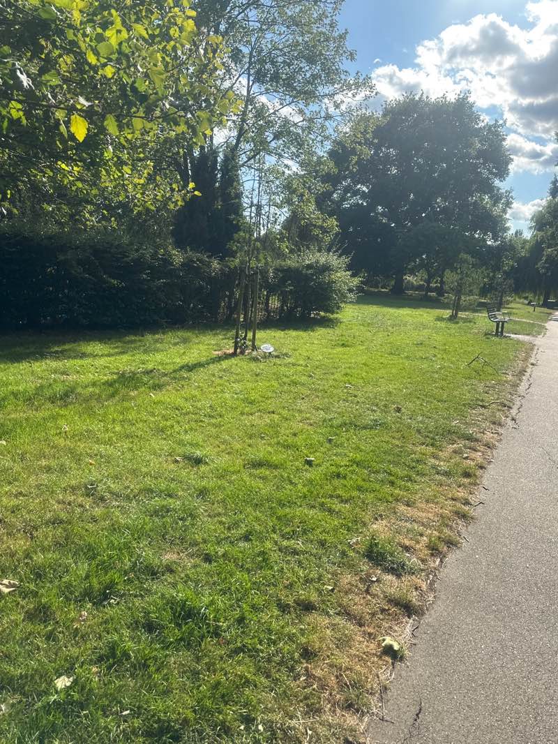 walking near me in Ravenor Park in summer