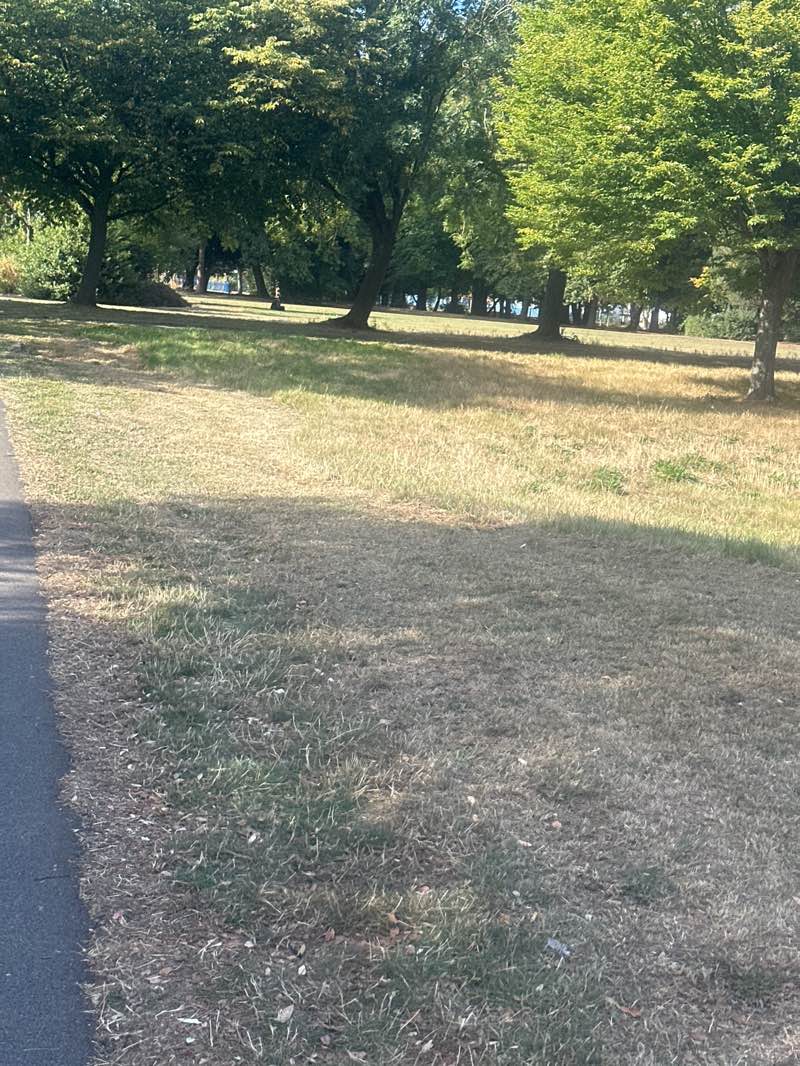 walking near me in Islip Manor Park in autumn