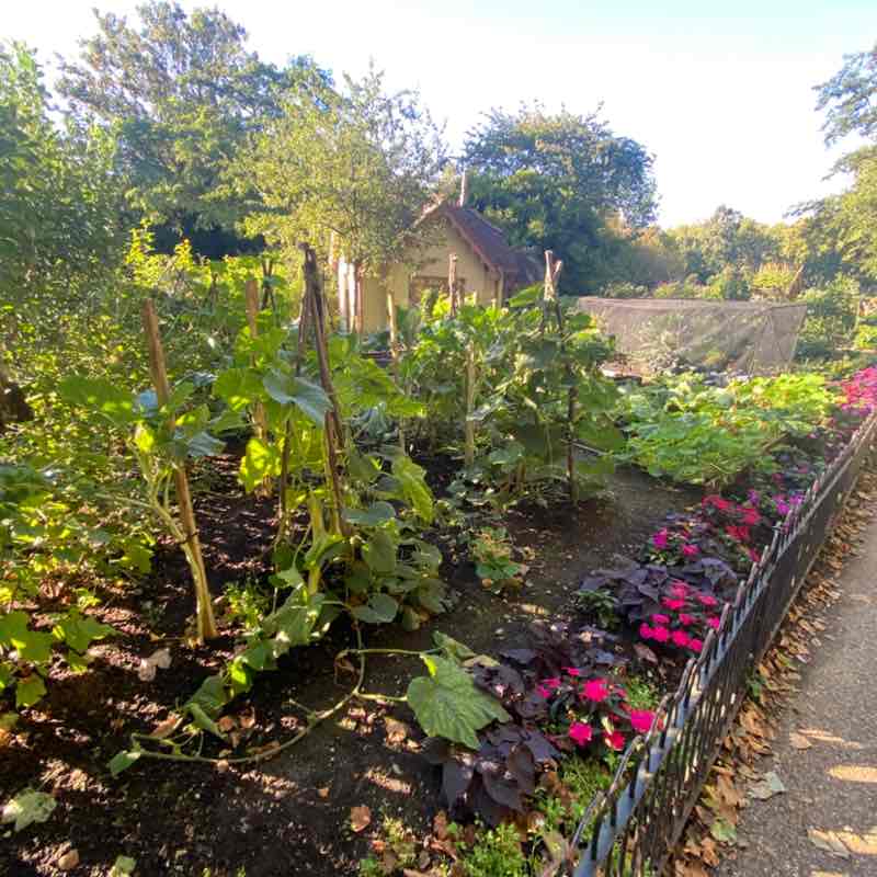 dirce.iervolino post 1