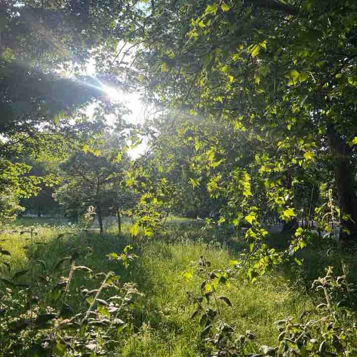 Erin Humphrey post 1