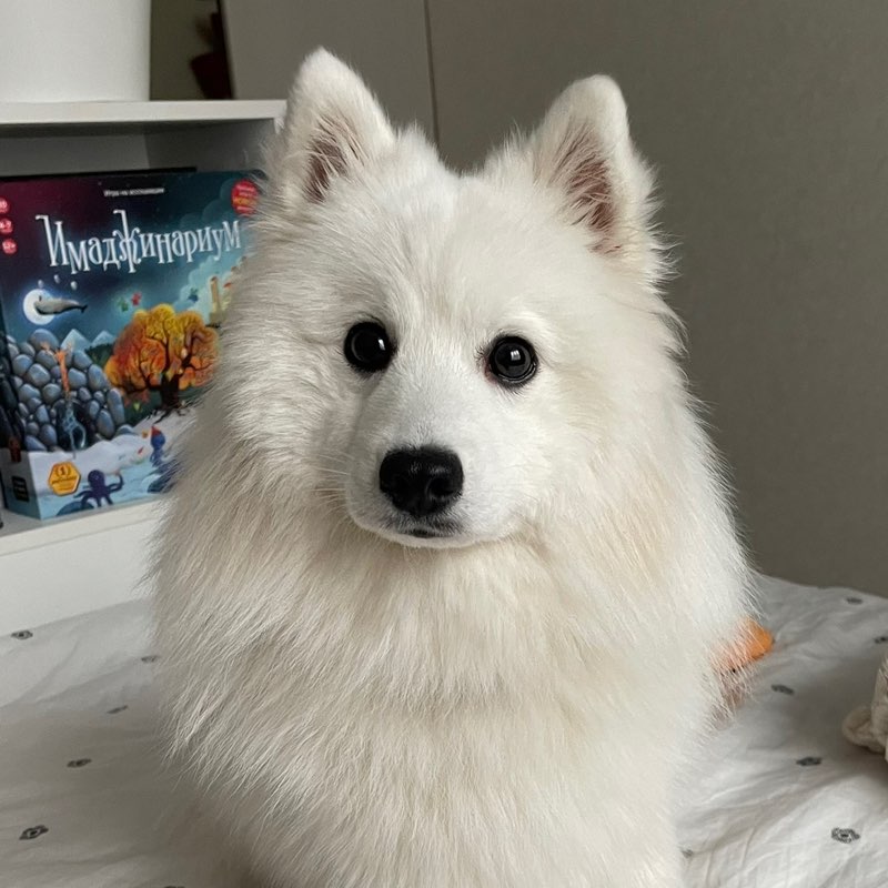 Юлия Корниенко icon