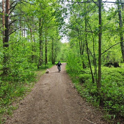 Ходячие легенды Юлия Мальцева post image