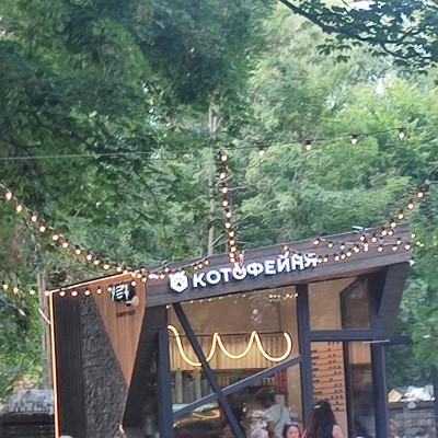 Кроссовочные котики Юлия Мальцева post image