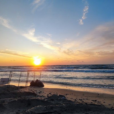 Кроссовочные котики Юлия Мальцева post image