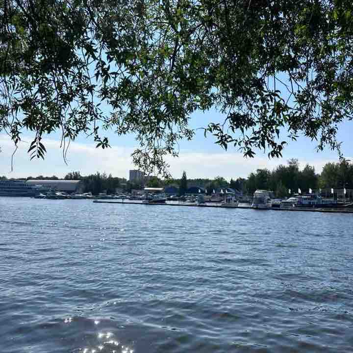 Кроссовочные котики Клава post image