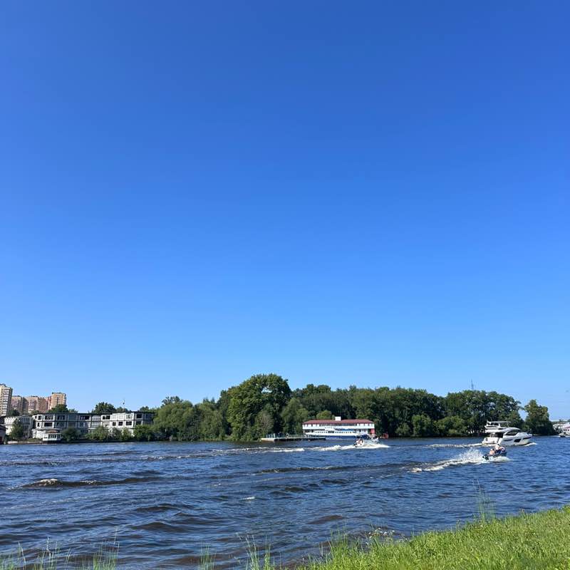 Кроссовочные котики Клава post image