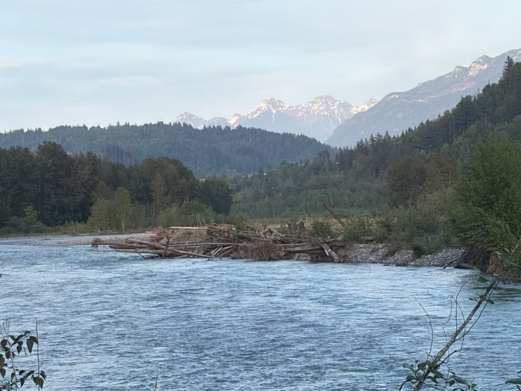 walking near me in Peach Park in spring