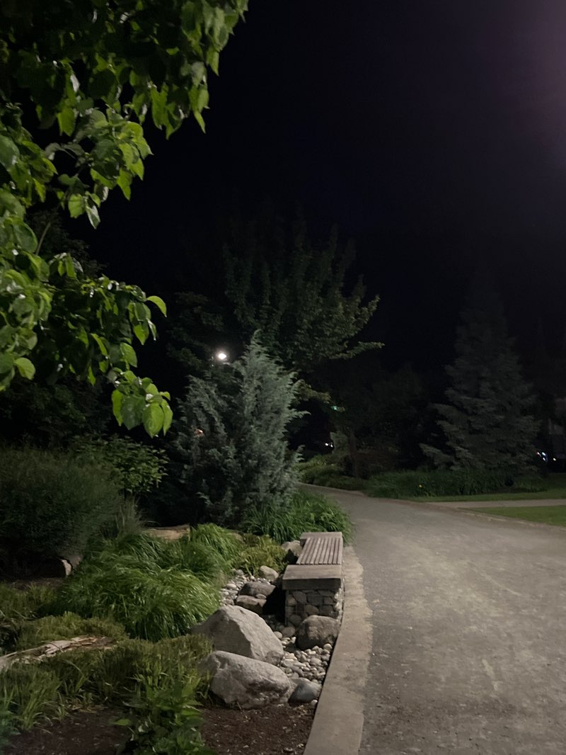 walking near me in Anglers Park in summer