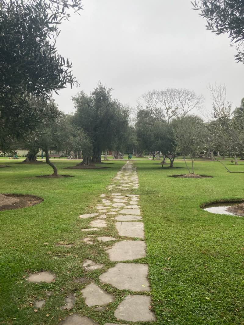 walking near me in Parque José Luis Bustamante y Rivero in autumn