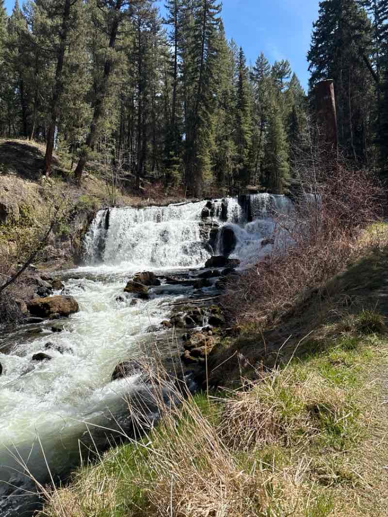 walking near me in Centennial Park in spring