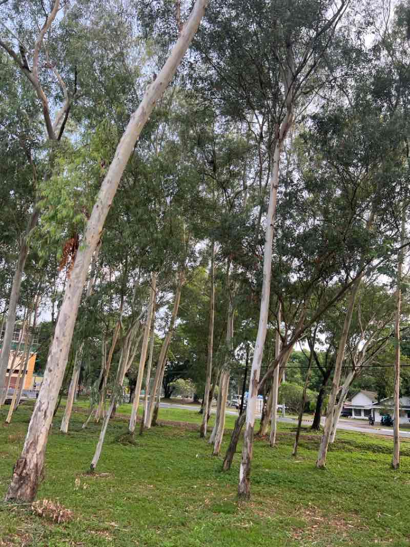 walking near me in Bicentennial Park & Recreation Area in spring