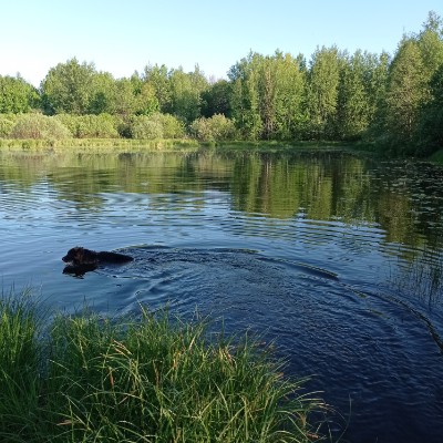 Ходячие легенды Мария Христолюбова post image