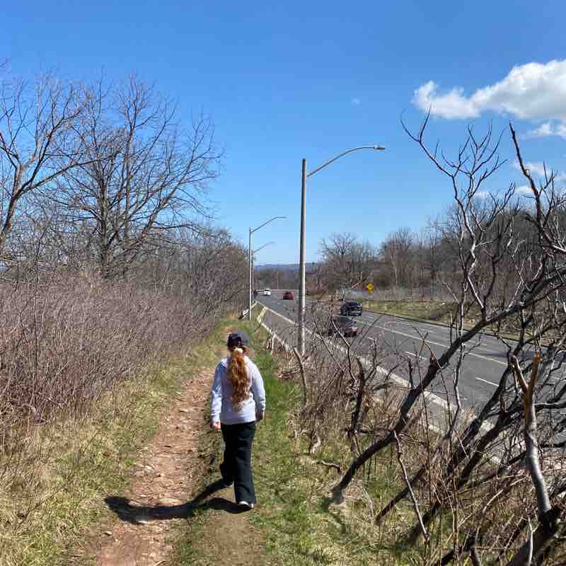 HSR Sarah post image