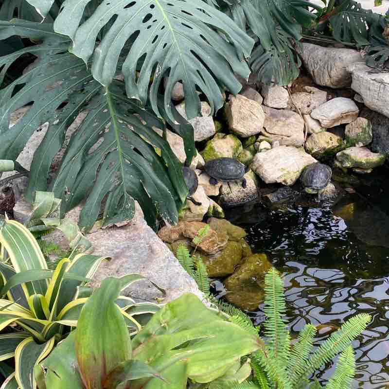 HSR Sarah post image