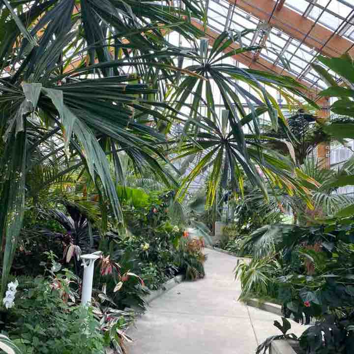 HSR Sarah post image